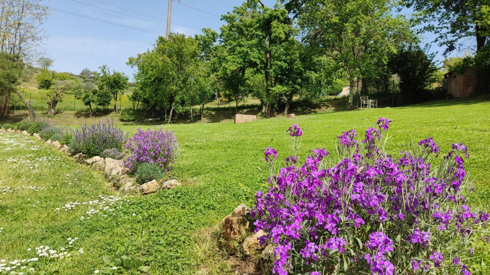 Agriturismo Le Grondaie 시에나 외부 사진